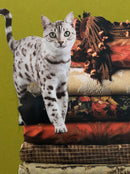 Feline Friend-5