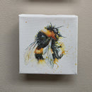 Golden buzz-5
