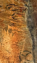 Building the Foundation-5