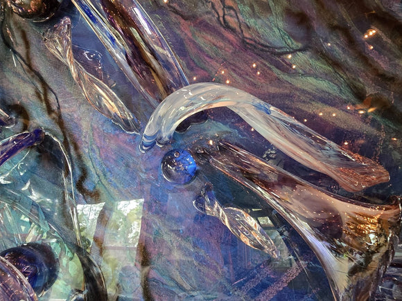 Pelagic Constillation