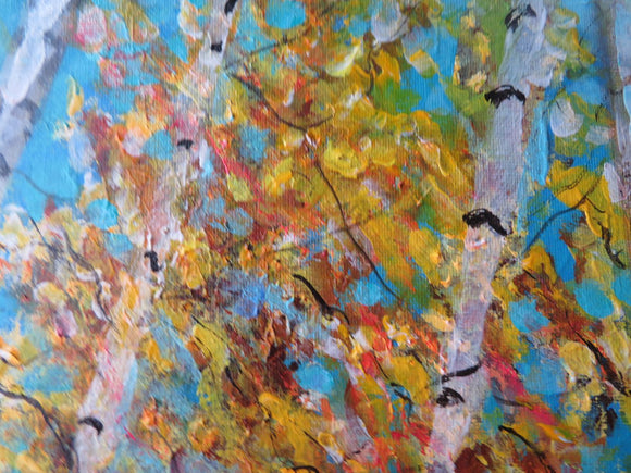 Birch Trees