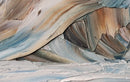 Arctic Reverie-5