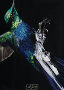 Hummingbirds-5