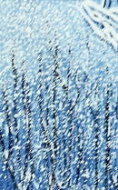 Tasting Snowflakes-4