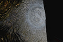 Tour of Cosmos-5