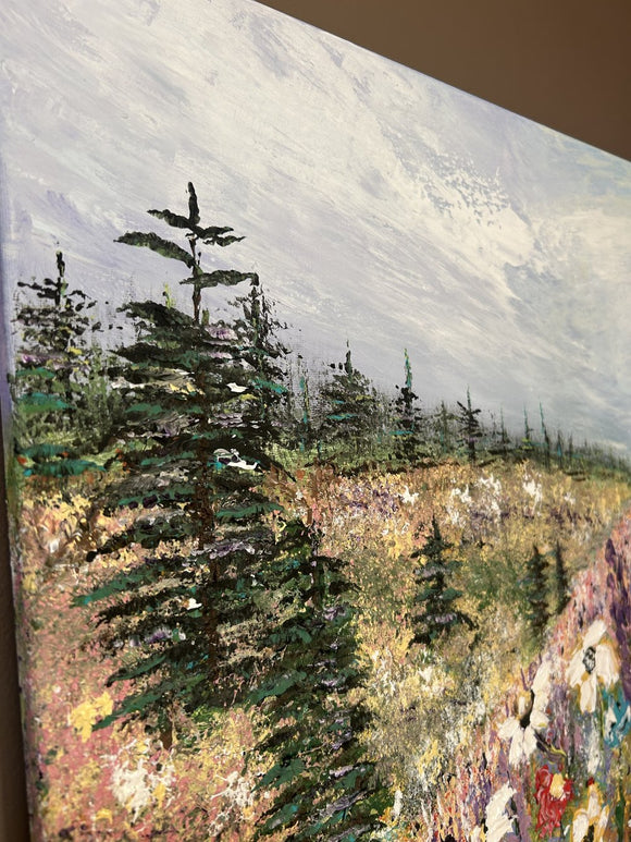 Pines Beyond the Meadow
