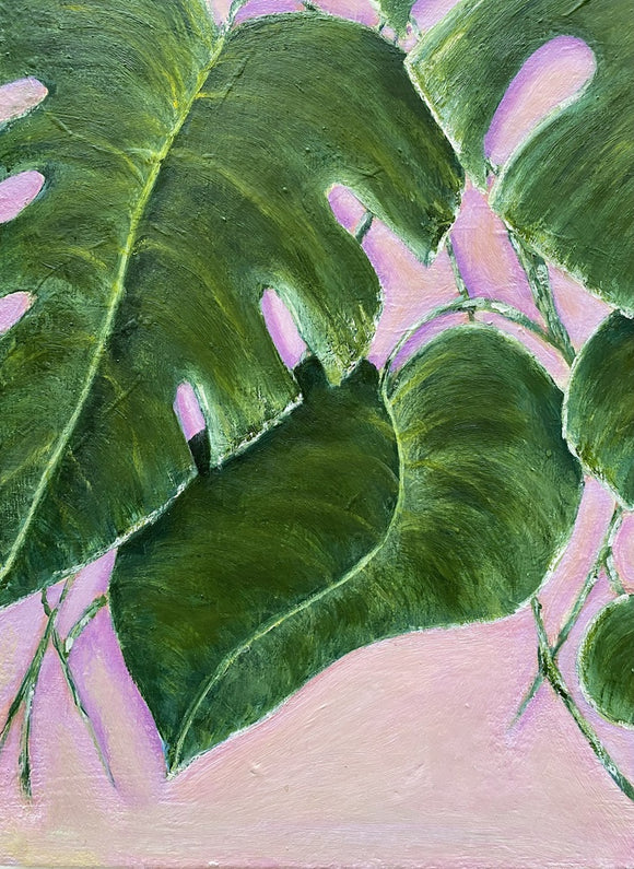 Monstera on Pink