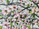 Cherry Blossom-6