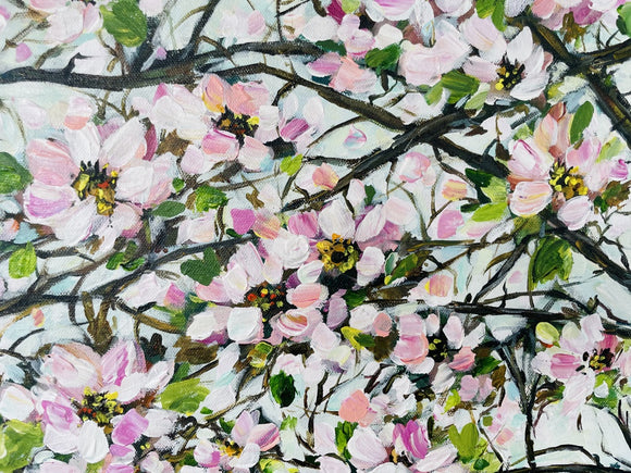 Cherry Blossom