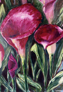Lilies in The Morning-6