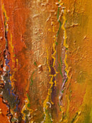 Colors in Paradise-6