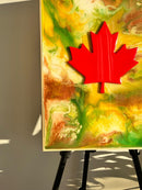 Colors of the Land-6