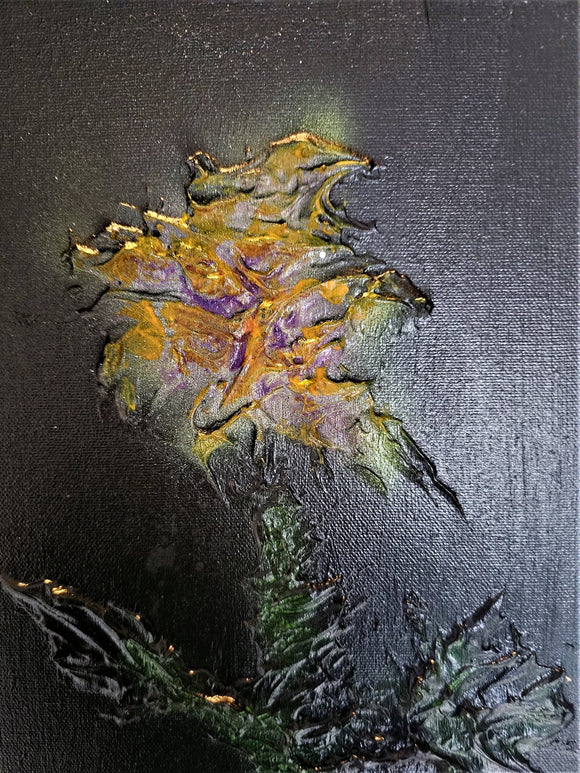 Flowers in midnight