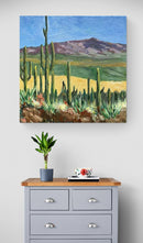 Saguaro National Park, Arizona-6