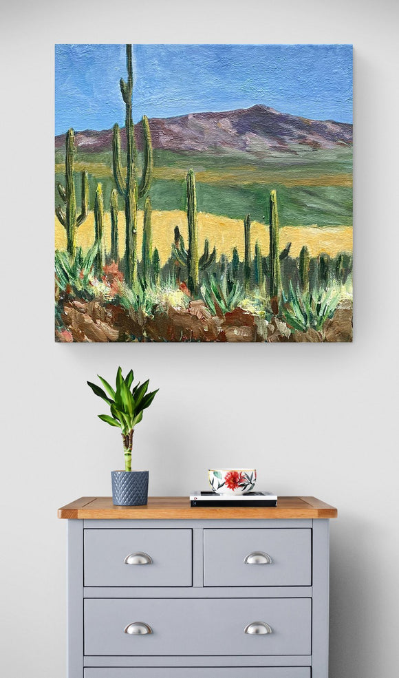 Saguaro National Park, Arizona
