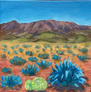 Blue Agave Desert-6