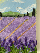 Lavender Field-6