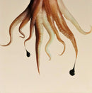 Octopus-6