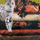Feline Friend-6