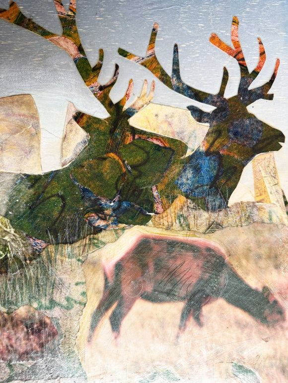 Rocky Mountain Elk III (a part of the whole)