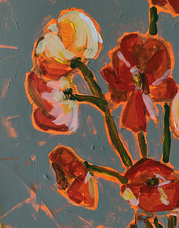 Poppies For Sandra