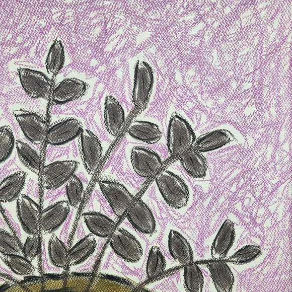 Eucalyptus