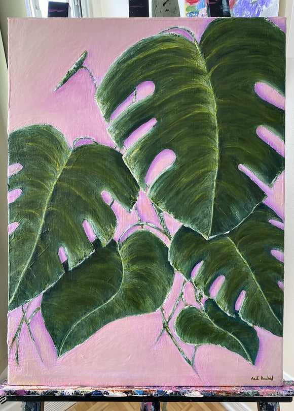 Monstera on Pink