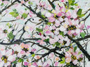 Cherry Blossom-7