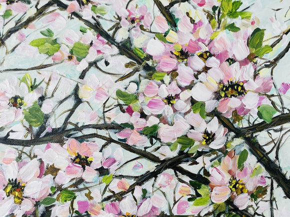 Cherry Blossom