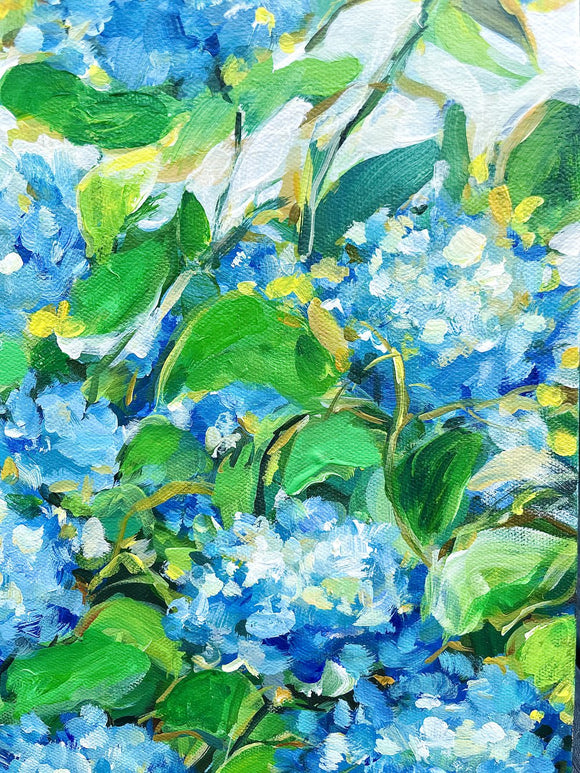 Hydrangeas #2