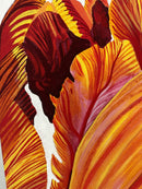 Parrot Tulip 3-7