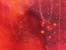Fervor-7