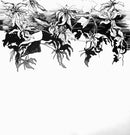 Reflection 1-7