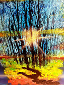 Sunrise in forest-7