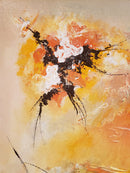 Light's refraction-7