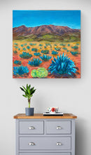 Blue Agave Desert-7