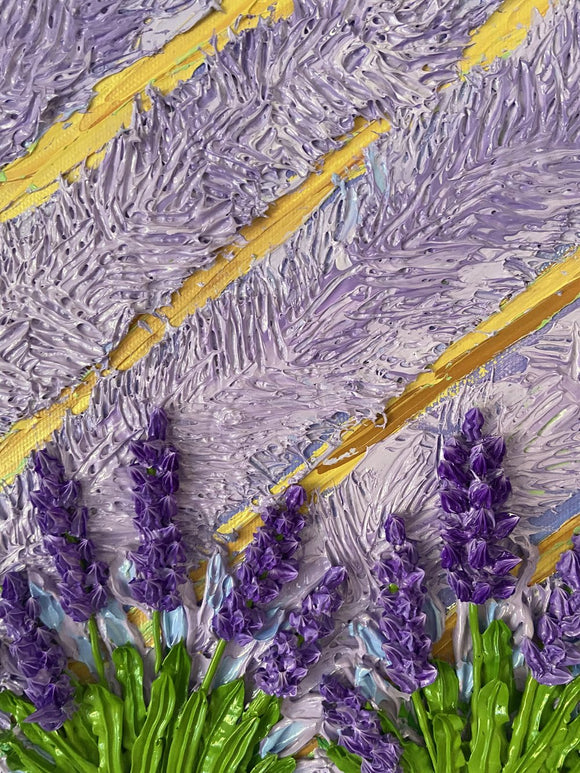 Lavender Field