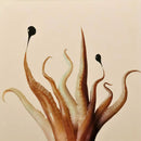 Octopus-7