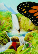 Transformation-7