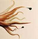 Octopus-8