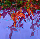 Reflection 1-9