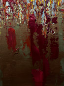 FREQUENCY RED IRON AND BRONZE-9