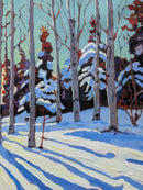 Winter light II-9