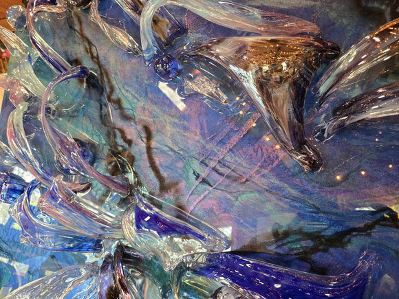 Pelagic Constillation