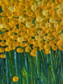 Whimsical yellow flower field-10