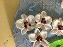3D orchids-10