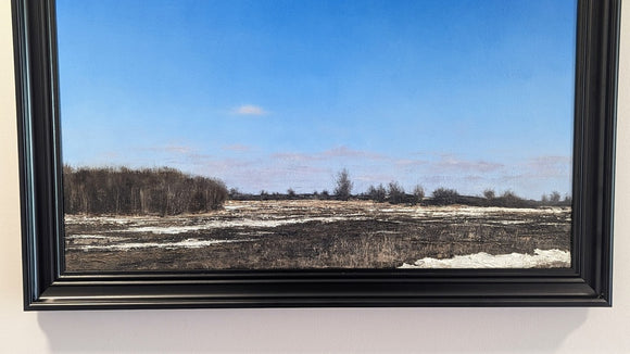 Spring Thaw