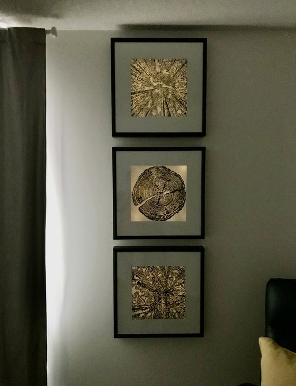 "The Circle of Life"