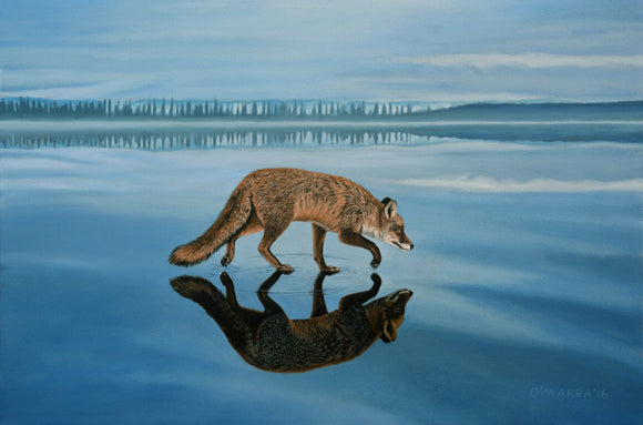 Old Fox on Thin Ice