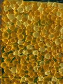 Whimsical yellow flower field-11